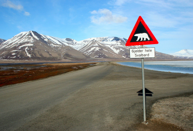 1620px-Polar_bear_sign_Svalbard-72e5b5e14192a1d652a8feeb8c29c729.jpg
